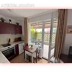 Avrora Studio's 比亚拉