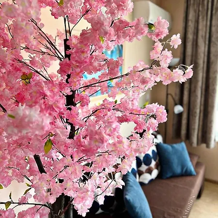 Avrora Studio's 公寓