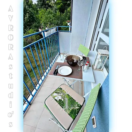 Avrora Studio's * 比亚拉