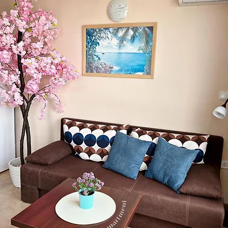 Avrora Studio's * 比亚拉