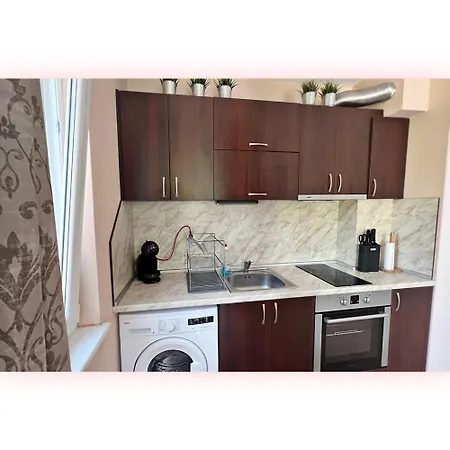 公寓 Avrora Studio's *