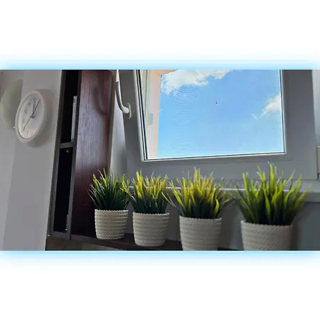 Avrora Studio's Apartment