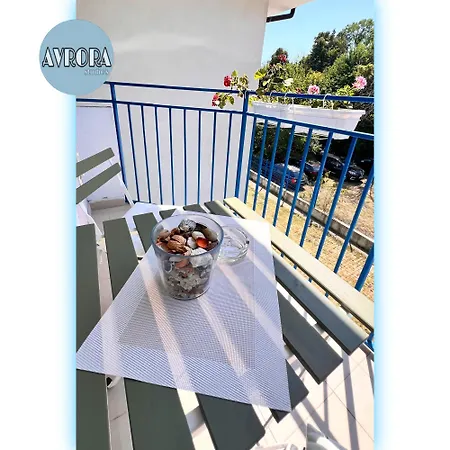 Avrora Studio's 比亚拉