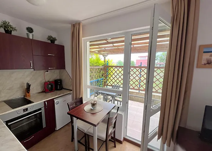 Avrora Studio's Beala